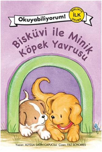 Kitap Ambarı