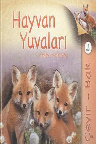Kitap Ambarı