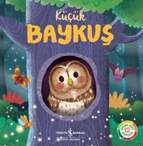 Kitap Ambarı