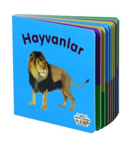 Kitap Ambarı