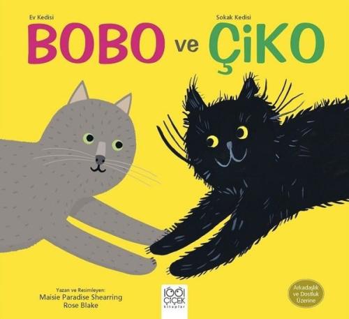 Kitap Ambarı