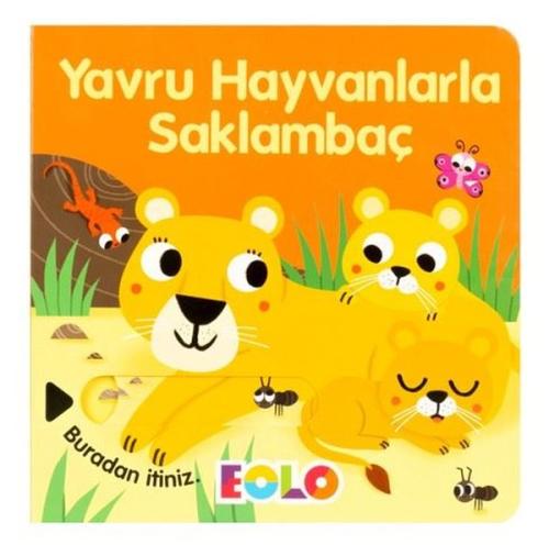 Kitap Ambarı