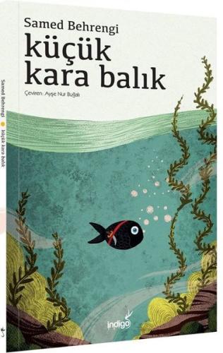 Kitap Ambarı