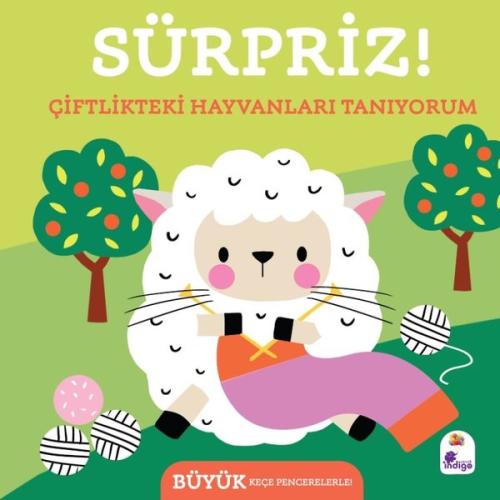 Kitap Ambarı