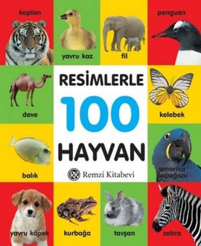 Kitap Ambarı