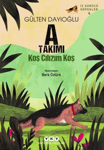 Kitap Ambarı