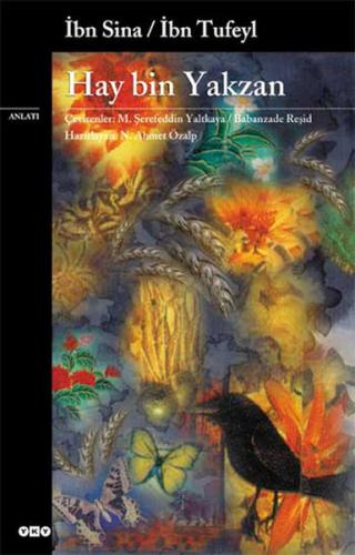 Kitap Ambarı