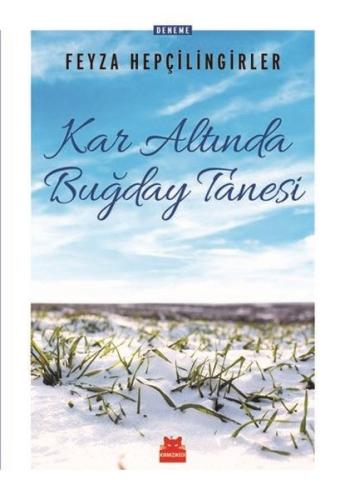 Kitap Ambarı