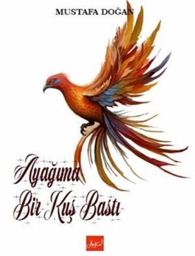 Kitap Ambarı