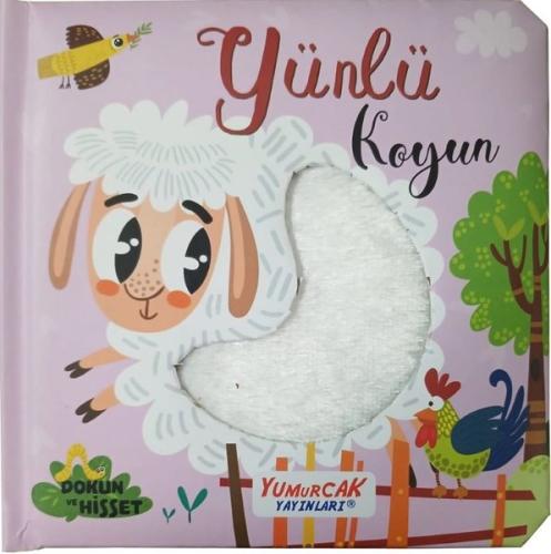 Yünlü Koyun