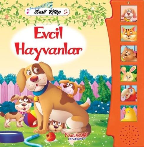 Sesli Kitap Çiftlik Hayvanları