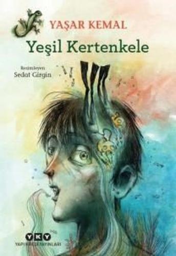 Kitap Ambarı