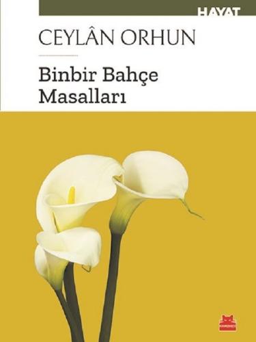 Kitap Ambarı