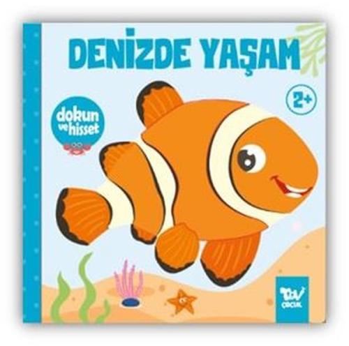 Dokun ve Hisset Denizde Yaşam