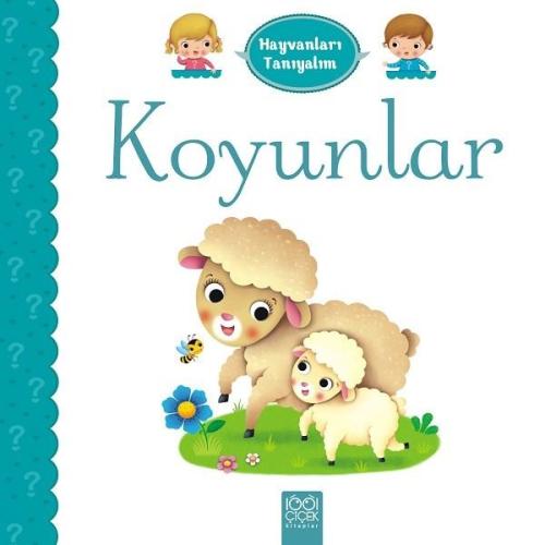 Kitap Ambarı