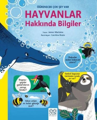 Kitap Ambarı