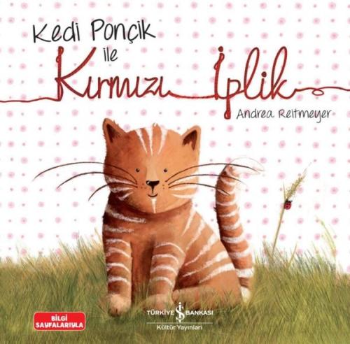 Kitap Ambarı