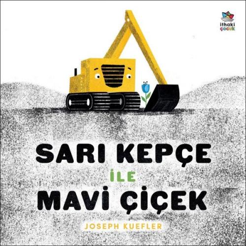 Kitap Ambarı