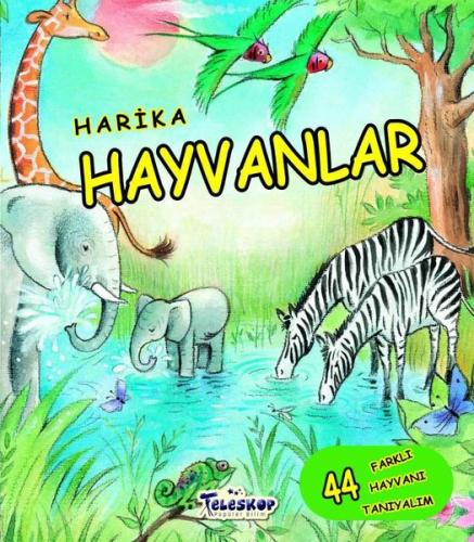 Kitap Ambarı