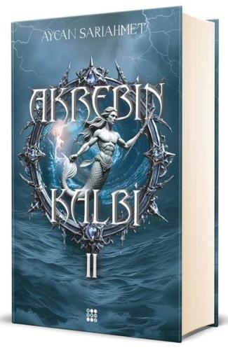 Kitap Ambarı
