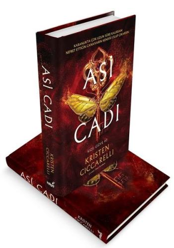 Kitap Ambarı