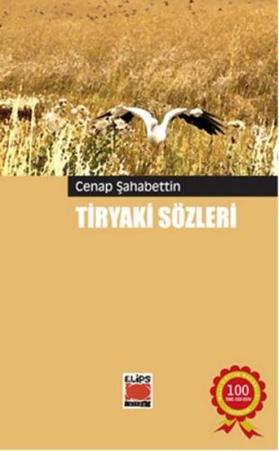 Kitap Ambarı