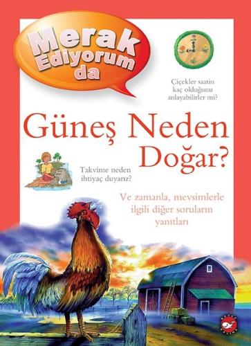 Kitap Ambarı