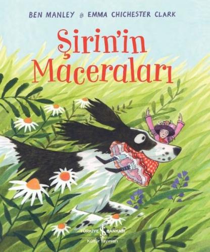 Kitap Ambarı