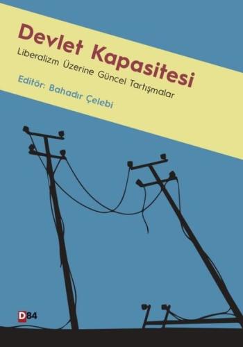 Devlet Kapasitesi