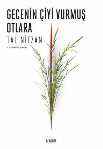 Kitap Ambarı