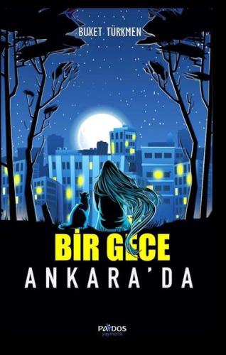 Bir Gece Ankara da
