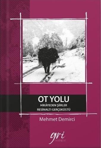 Kitap Ambarı