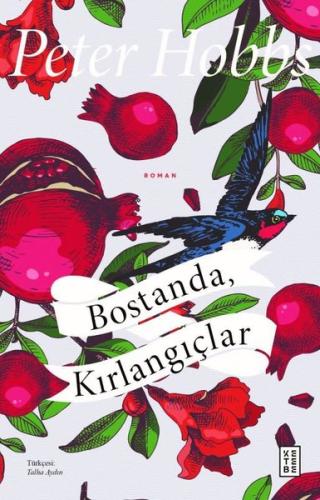 Kitap Ambarı