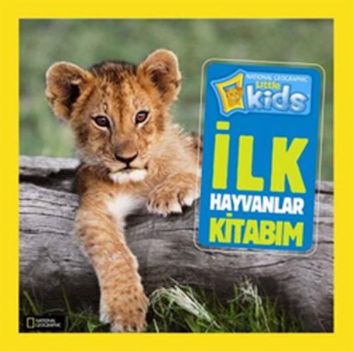 Kitap Ambarı
