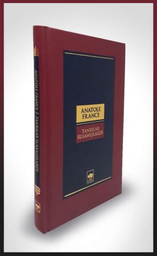 Kitap Ambarı
