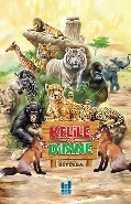 Kitap Ambarı
