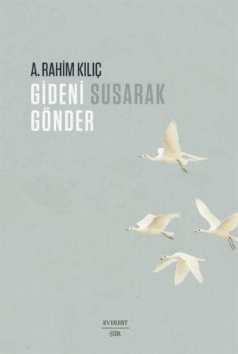 Kitap Ambarı
