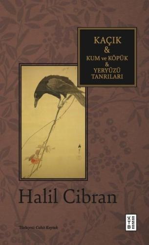 Kitap Ambarı