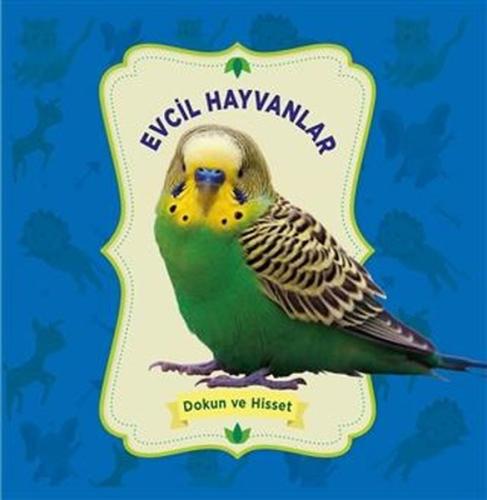 Kitap Ambarı