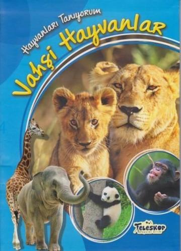 Kitap Ambarı