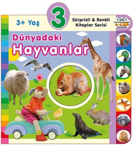 Kitap Ambarı