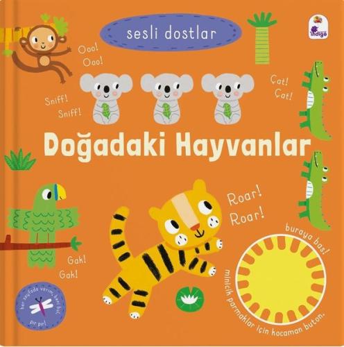 Kitap Ambarı