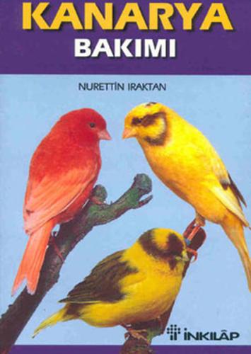 Kitap Ambarı