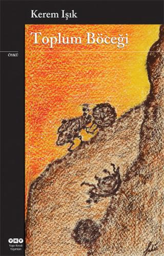 Kitap Ambarı