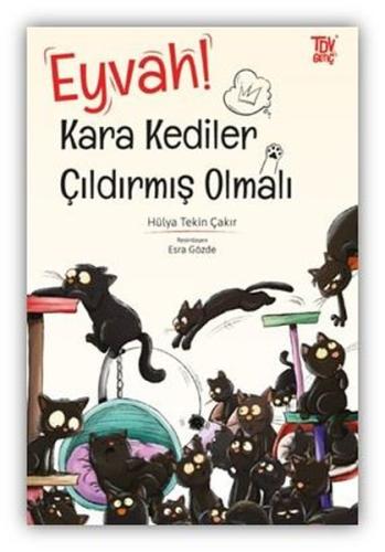 Kitap Ambarı