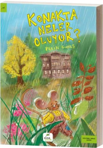 Kitap Ambarı