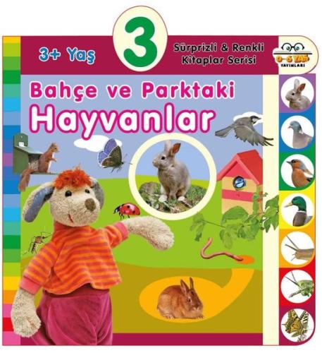 Kitap Ambarı