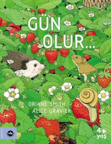 Kitap Ambarı