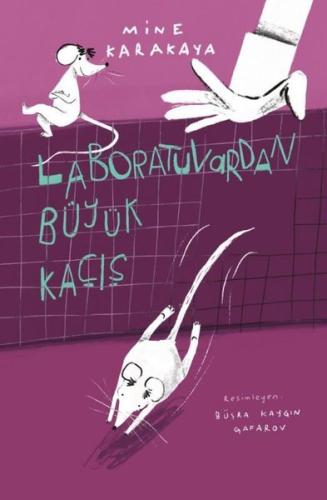 Kitap Ambarı