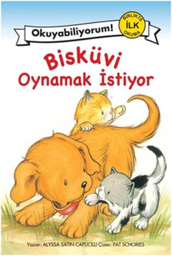 Kitap Ambarı
